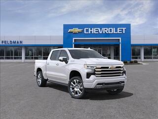 2025 Chevrolet Silverado 1500 for sale in Novi MI