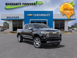 2025 Chevrolet Silverado 1500 for sale in Orange TX