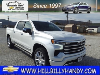 2025 Chevrolet Silverado 1500 for sale in Mountain View AR