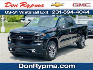 2019 Chevrolet Silverado 1500 for sale in Whitehall MI