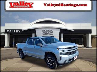 2019 Chevrolet Silverado 1500 for sale in Hastings MN