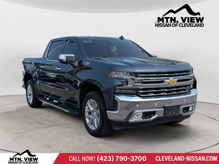2019 Chevrolet Silverado 1500 for sale in Mcdonald TN