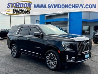 2023 Gmc Yukon for sale in Mount Horeb WI