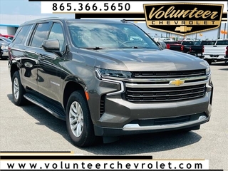 2021 Chevrolet Suburban for sale in Sevierville TN