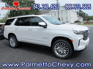 2024 Chevrolet Tahoe for sale in Winchester VA