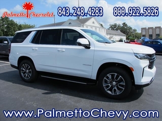 2024 Chevrolet Tahoe for sale in Winchester VA