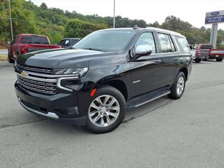 2023 Chevrolet Tahoe for sale in Bristol TN