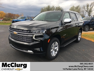 2023 Chevrolet Tahoe for sale in Perry NY