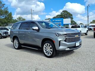 2024 Chevrolet Tahoe for sale in Wendell NC