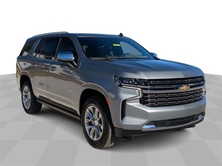 2024 Chevrolet Tahoe for sale in Wendell NC