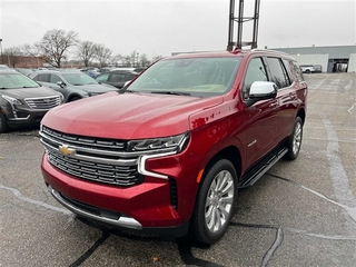 2023 Chevrolet Tahoe for sale in Plymouth MI