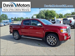 2021 Gmc Canyon for sale in Litchfield MN