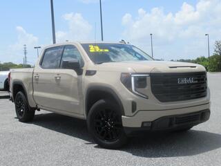 2023 Gmc Sierra 1500 for sale in Fruitland Park FL