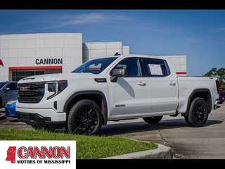 2023 Gmc Sierra 1500 for sale in Moss Point MS