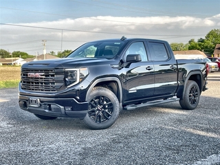 2025 Gmc Sierra 1500 for sale in Litchfield IL