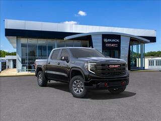 2024 Gmc Sierra 1500 for sale in Greenville SC