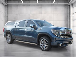 2025 Gmc Sierra 1500 for sale in Mt. Dora FL