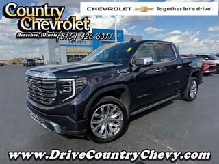 2025 Gmc Sierra 1500 for sale in Herscher IL
