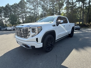 2024 Gmc Sierra 1500 for sale in Sanford NC