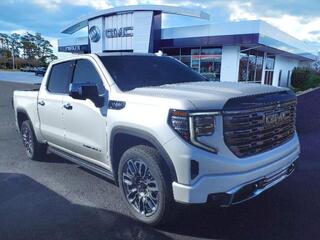 2025 Gmc Sierra 1500 for sale in Morehead City NC