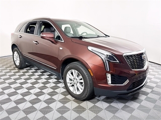 2023 Cadillac XT5 for sale in Merritt Island FL