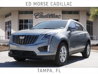2025 Cadillac XT5 for sale in Brandon FL