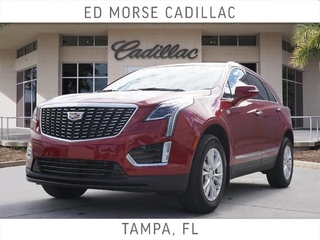 2025 Cadillac XT5 for sale in Tampa FL
