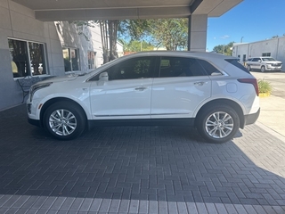 2023 Cadillac XT5 for sale in Brandon FL