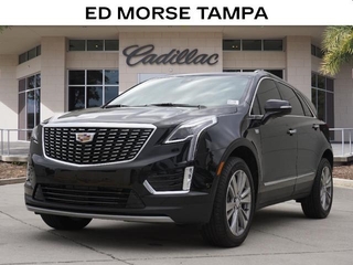 2025 Cadillac XT5 for sale in Tampa FL