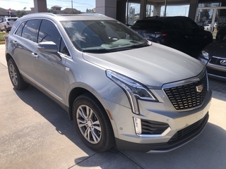 2023 Cadillac XT5 for sale in Brandon FL