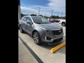 2021 Cadillac XT5 for sale in Brandon FL