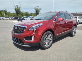 2025 Cadillac XT5 for sale in Mt. Juliet TN