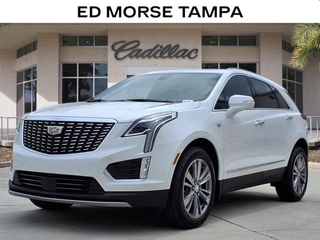 2025 Cadillac XT5 for sale in Tampa FL