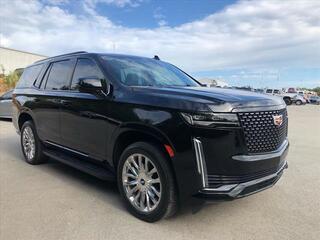 2023 Cadillac Escalade for sale in Chattanooga TN