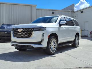 2024 Cadillac Escalade for sale in Tampa FL