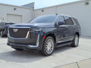 2024 Cadillac Escalade for sale in Tampa FL