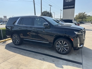 2021 Cadillac Escalade for sale in Brandon FL