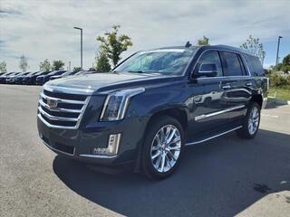 2020 Cadillac Escalade for sale in Mt. Juliet TN