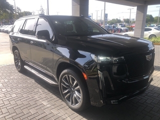 2023 Cadillac Escalade for sale in Brandon FL