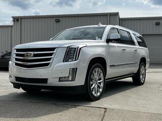 2019 Cadillac Escalade Esv for sale in Tampa FL