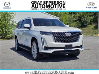 2023 Cadillac Escalade Esv for sale in Cleveland TN