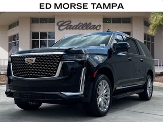 2024 Cadillac Escalade Esv for sale in Tampa FL