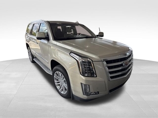 2015 Cadillac Escalade for sale in Brandon FL