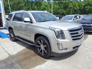 2016 Cadillac Escalade for sale in Guthrie KY