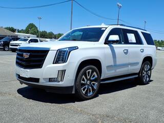 2020 Cadillac Escalade for sale in Greensboro NC