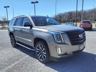 2019 Cadillac Escalade for sale in Nashville TN