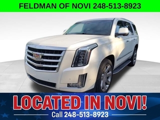 2019 Cadillac Escalade for sale in Novi MI