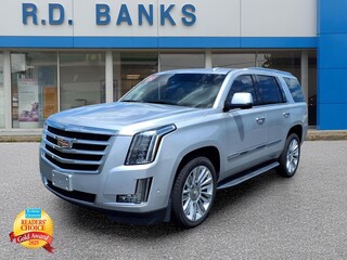 2019 Cadillac Escalade for sale in Warren OH