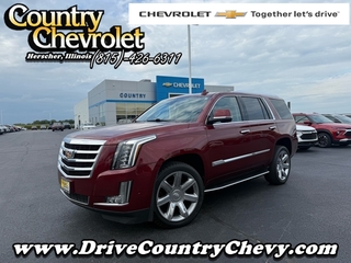 2020 Cadillac Escalade for sale in Herscher IL