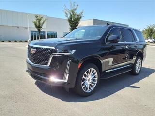 2024 Cadillac Escalade for sale in Mt. Juliet TN